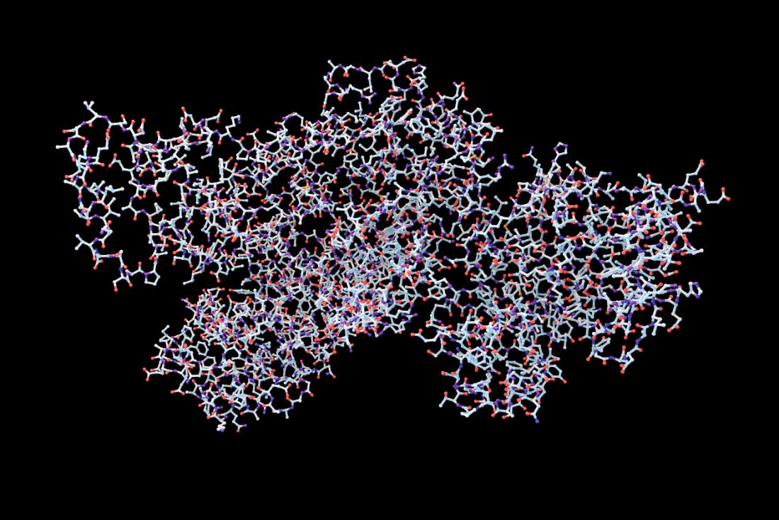 Cząsteczki wąglika składają się z trzech białek, z których żaden nie jest sam w sobie toksyczny.