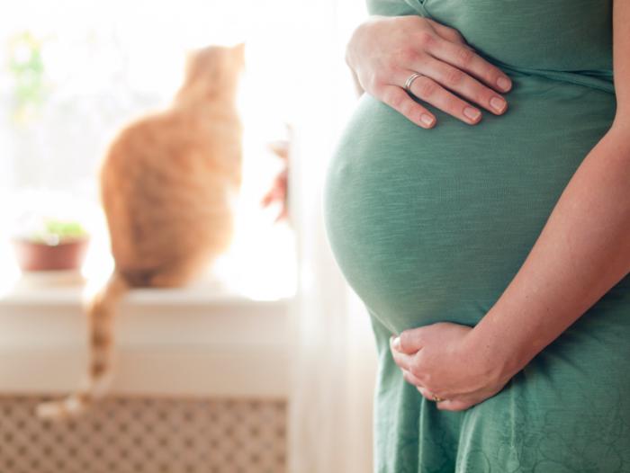 Une femme enceinte avec un chat.