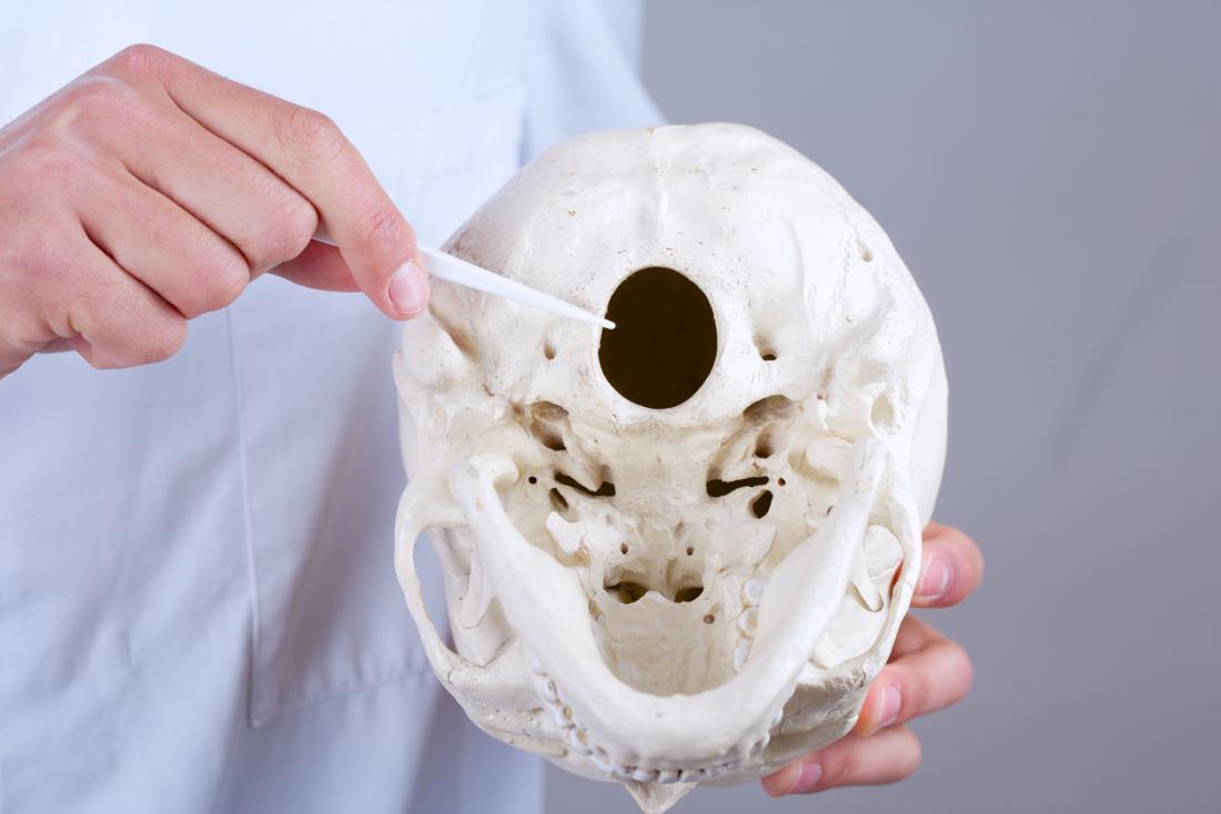 Docteur pointe vers le foramen magnum du crâne