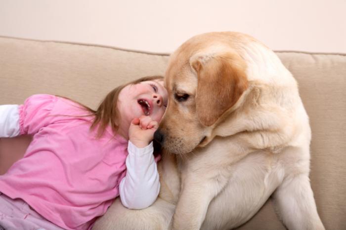 Hund und junges Mädchen