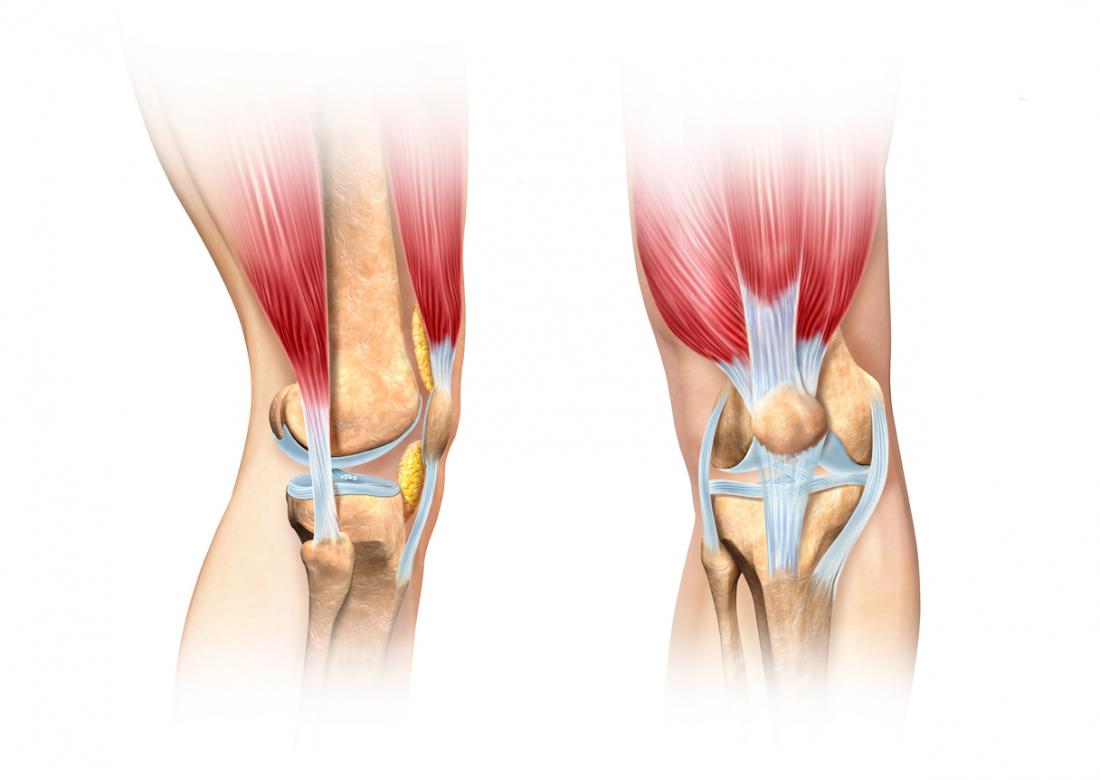 Certains médecins proposent que le craquement des articulations résulte de la mise en place des tendons sur les articulations.