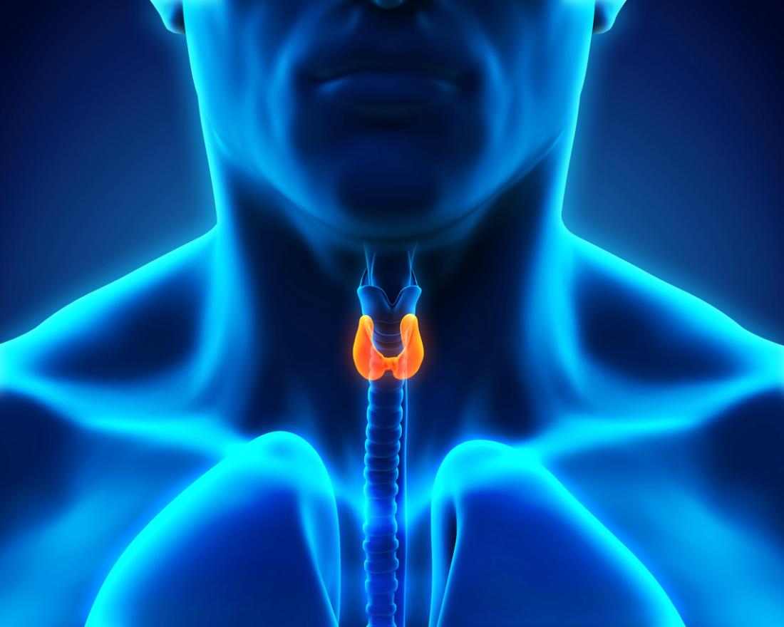 tiroid bezi diyagramı