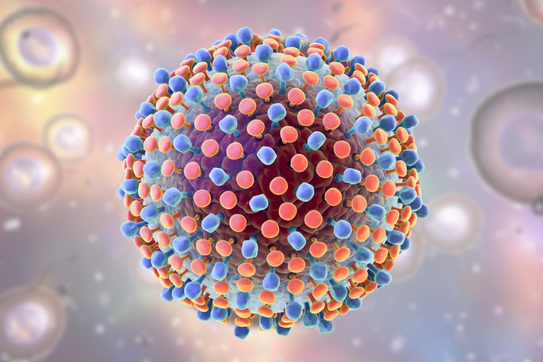 HCV virüsü