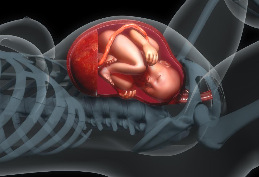 diagramma del bambino in utero
