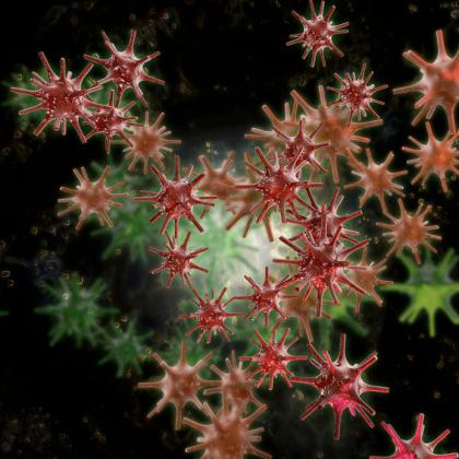 Immagine del virus di herpes zoster.