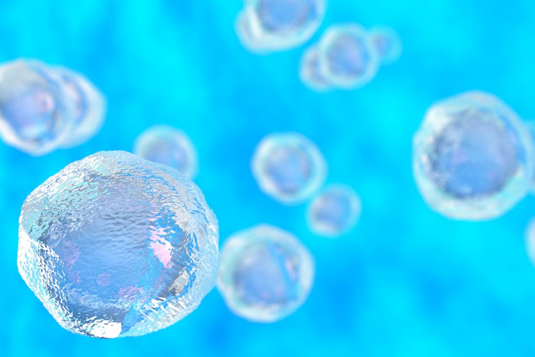 un'illustrazione di cellule staminali