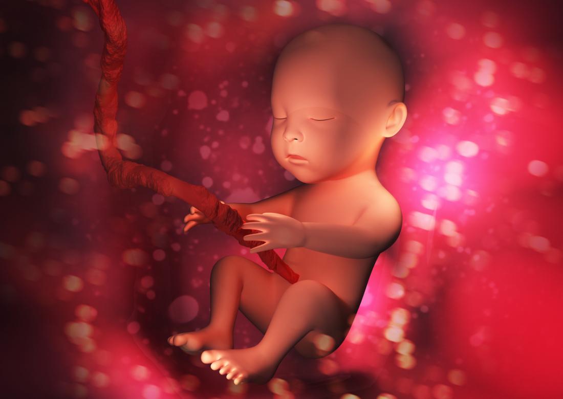 бебе в утробата