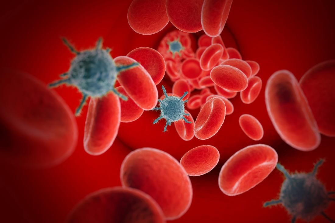 Một hình ảnh của virus trong máu hoặc viremia