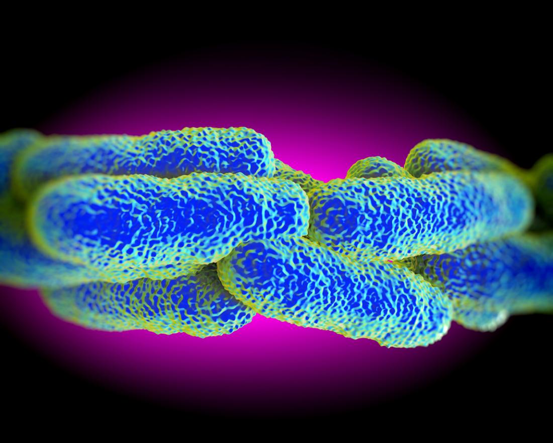 Vi khuẩn Legionella chịu trách nhiệm về bệnh Legionnaire.