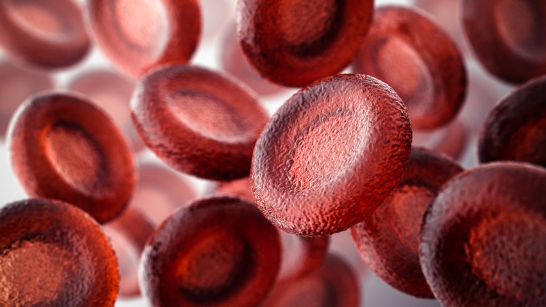 3D render hình ảnh của tiểu cầu tế bào máu đỏ.