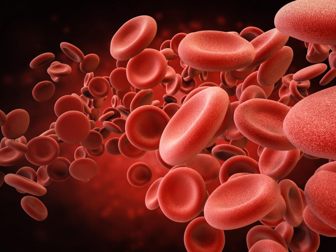 nhiều tế bào máu
