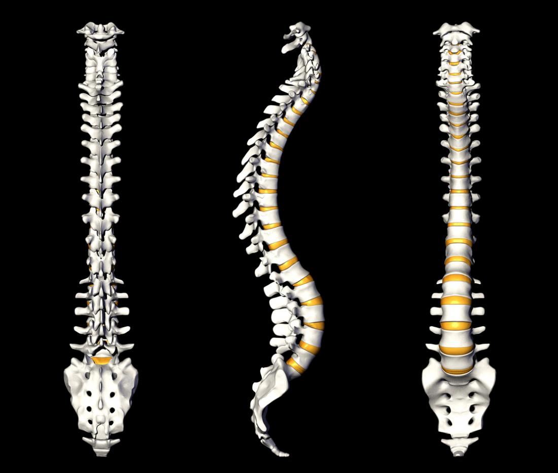 tre viste della colonna vertebrale, incluso il coccige