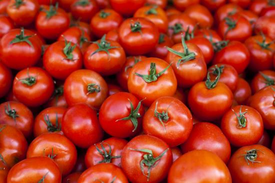 Uma variedade de tomates em exposição.