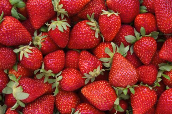 Une image de fraises fraîches.