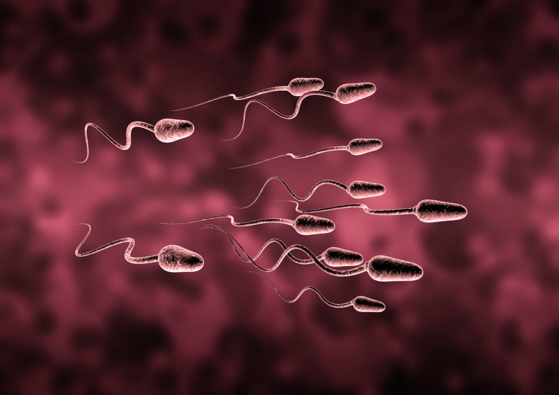 естествени начини за увеличаване броя на сперматозоидите