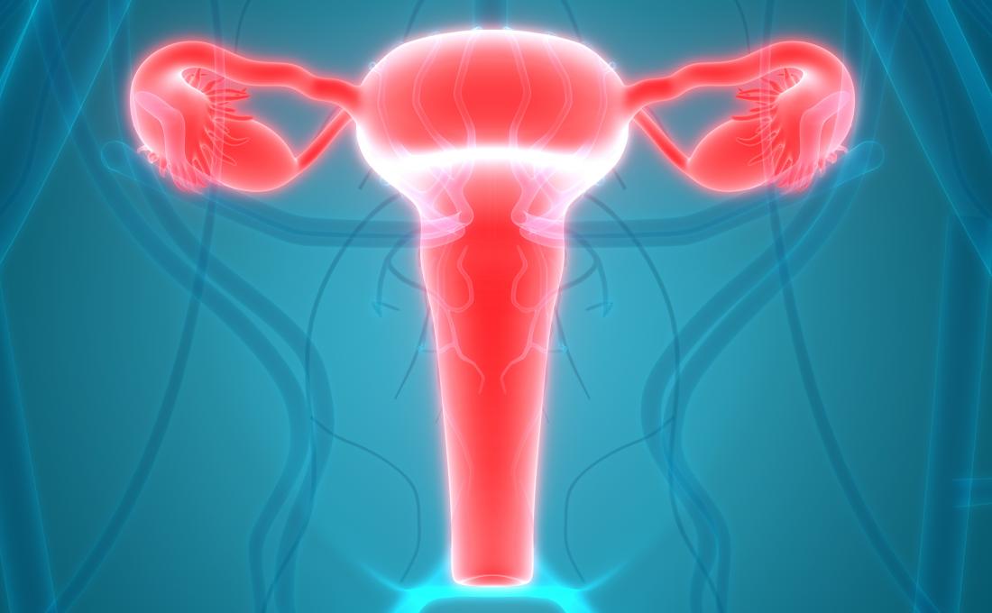 cervicite démontrée par rendu 3D du système reproducteur féminin, y compris le col de l'utérus.