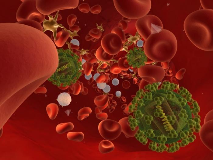 Изображение на ХИВ клетките в кръвния поток.