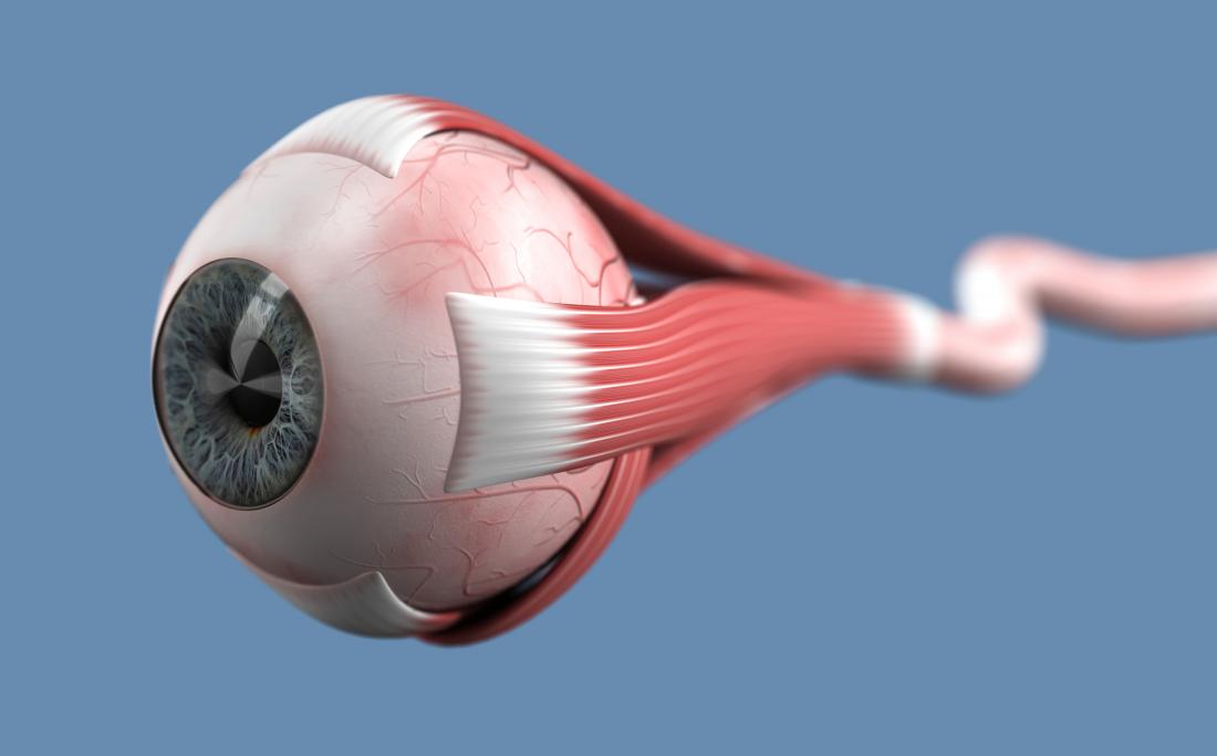 Diagramm des Auges Optikusneuritis