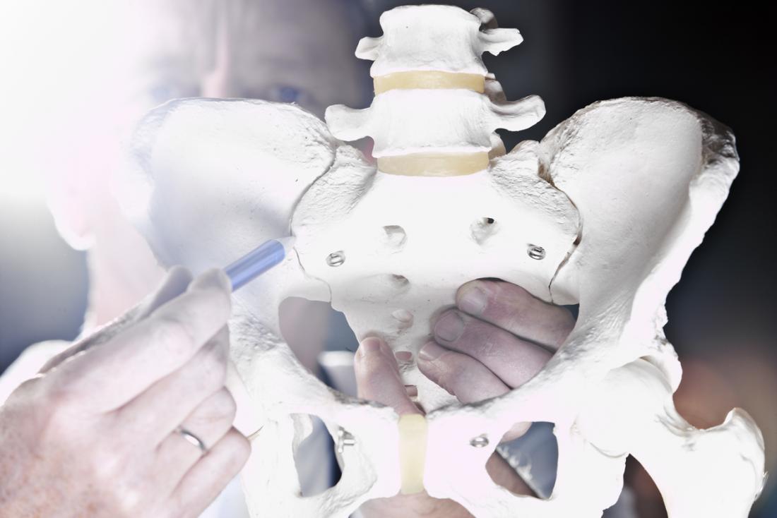 骨盤骨のモデルで仙腸関節を指している医師。