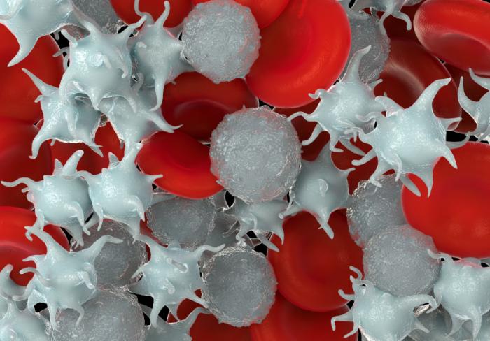 Imagem de células plaquetárias.