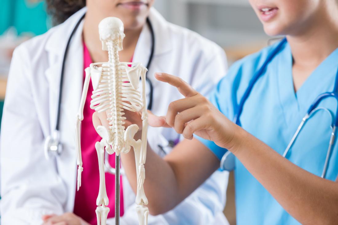 Belli kemiklere işaret eden, insan iskeletinin minyatür anatomik modeline bakarak tıp öğrencisi ve doktor.