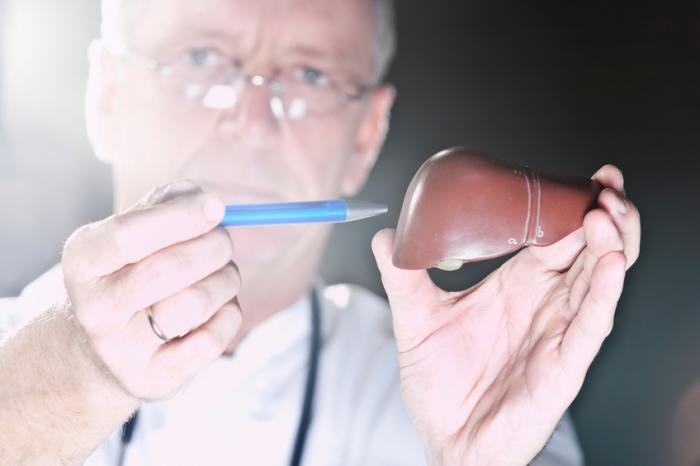 Bir doktor bir karaciğeri işaret etmek için bir kalem kullanır.
