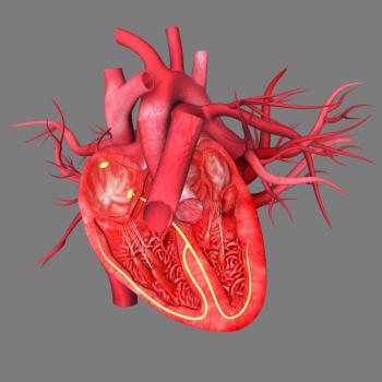 [心臓と血管の図]