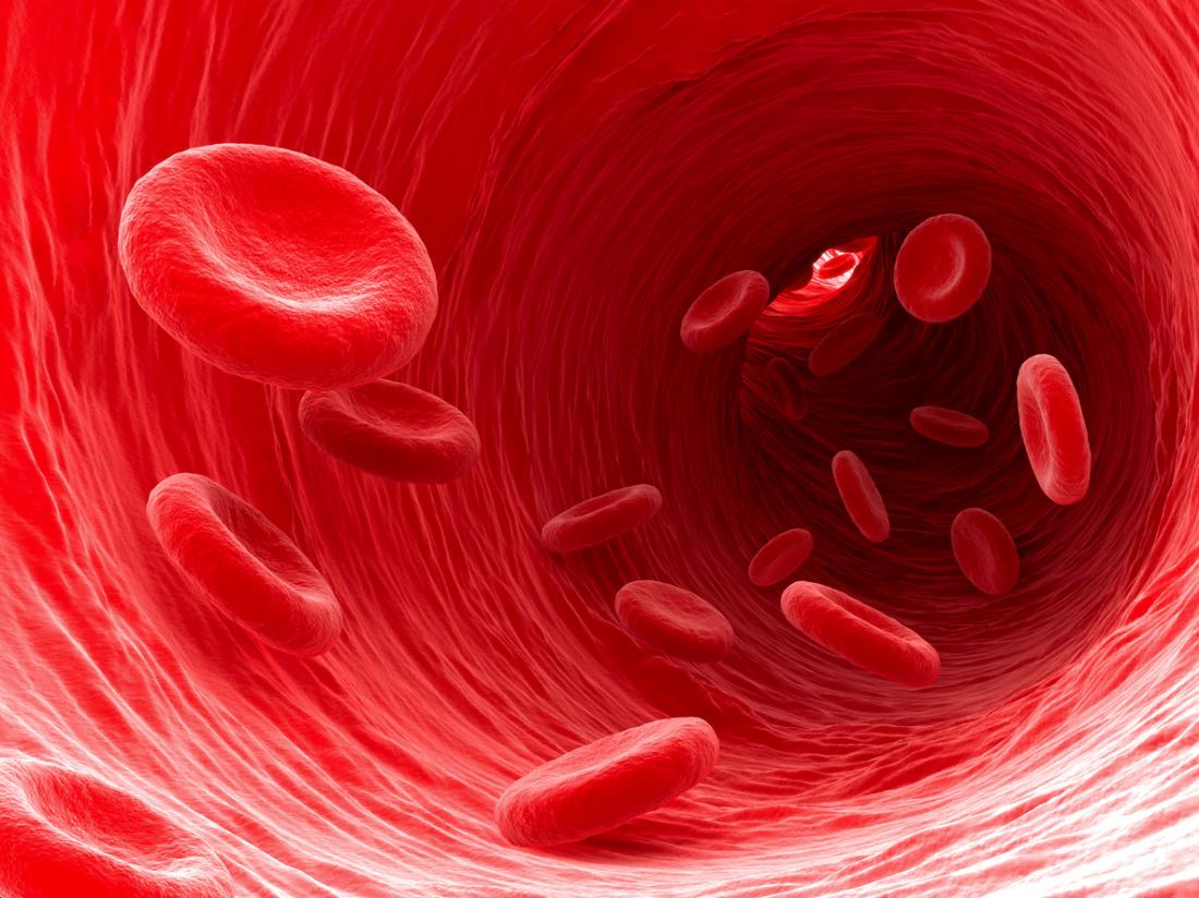 изглед на кръвоносните съдове
