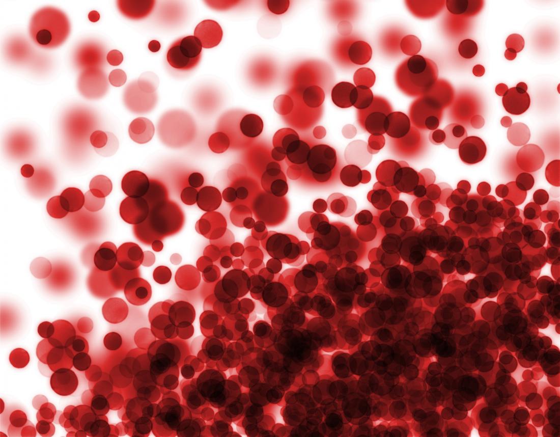赤血球を顕微鏡下で