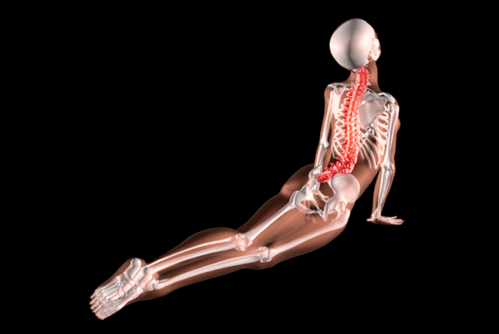 radiographie d'une personne prenant part à une pose de yoga