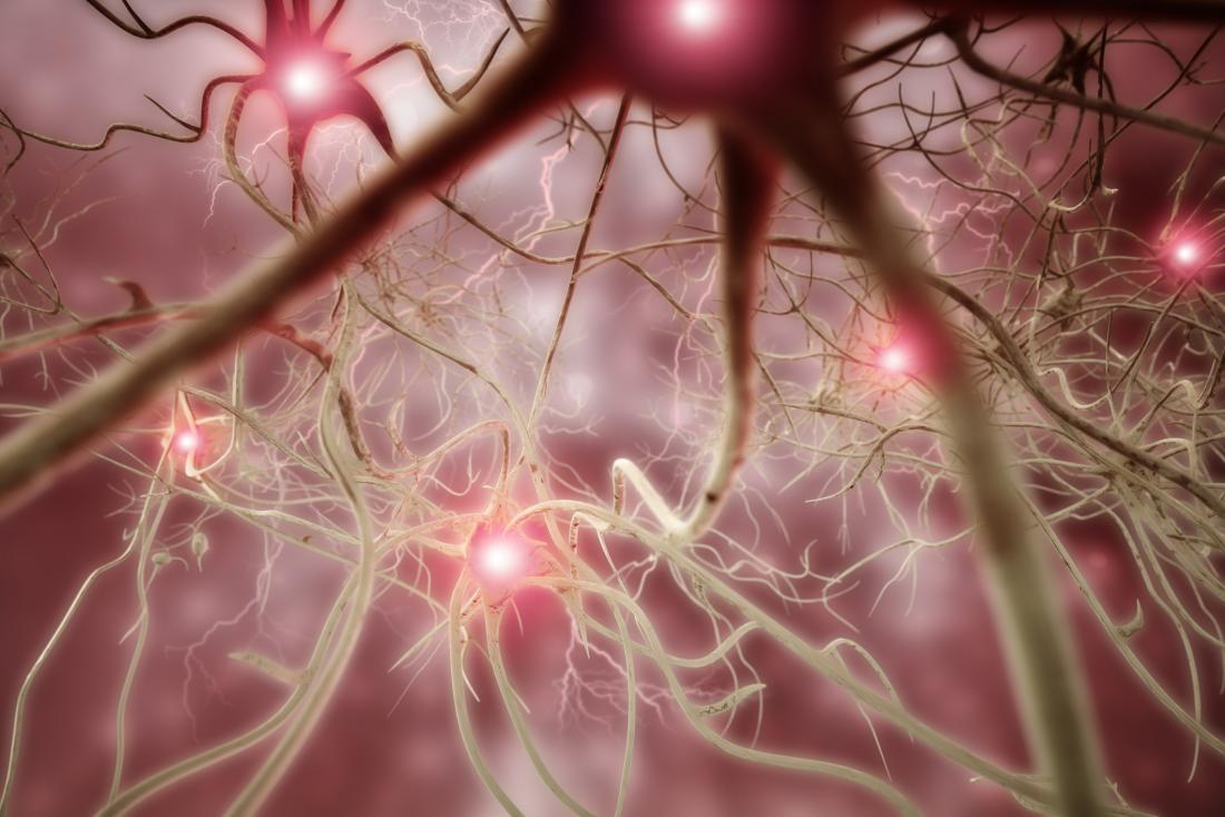 eine Illustration von Nervenzellen