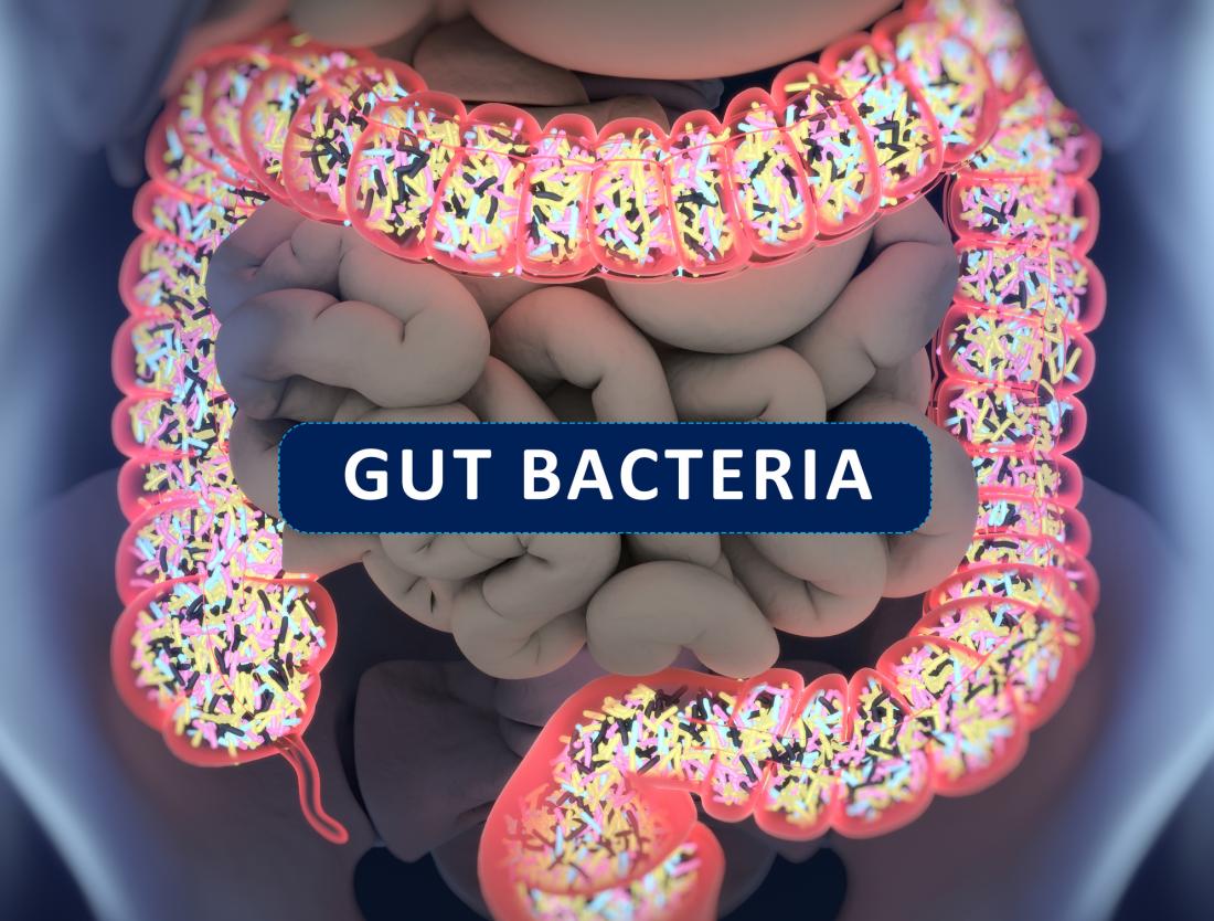 ilustração de bactérias intestinais