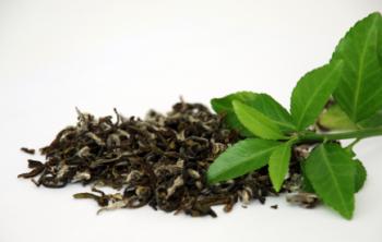 Листа от зелен чай